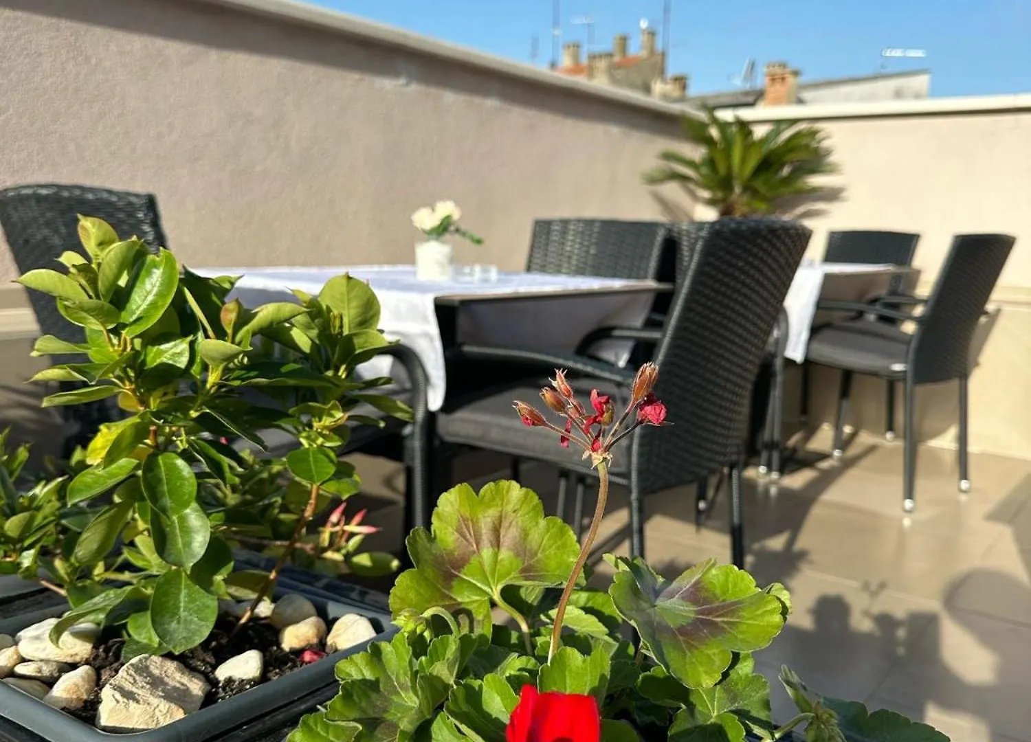Villa Brandestini Pola Affittacamere